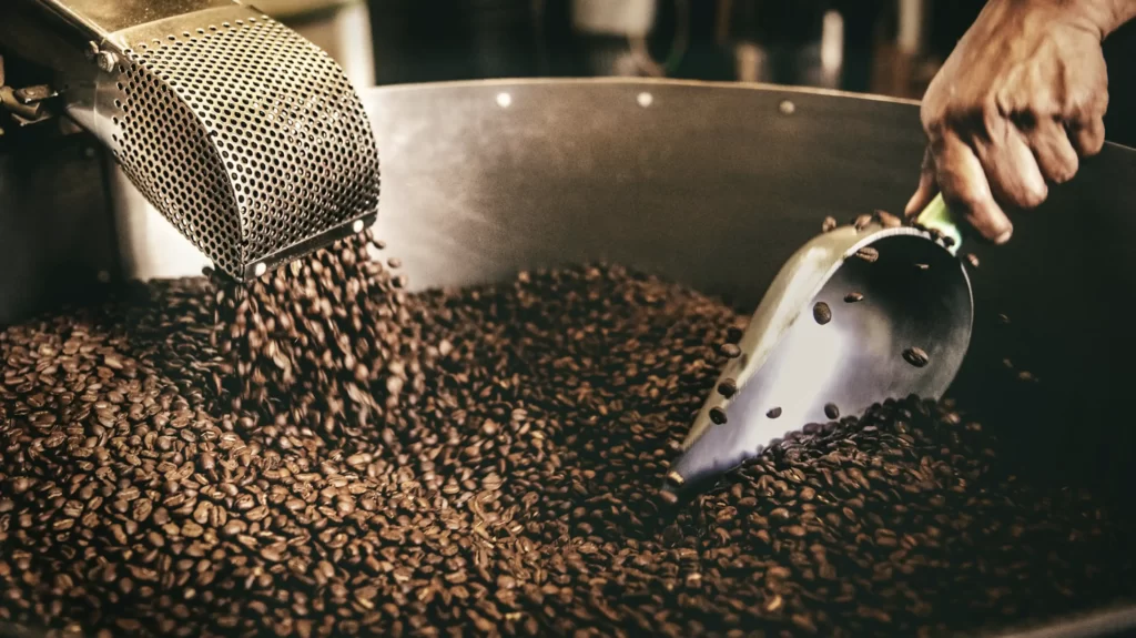 Explore Light Roast for smooth tastes